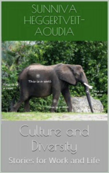 Culture and Diversity: Stories for Work and Life — book cover